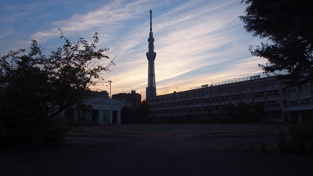 スカイツリーシルエット