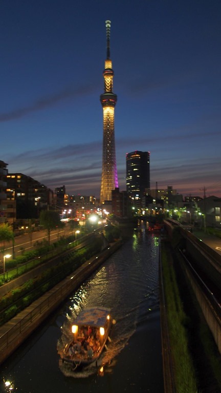 スカイツリーの夜景[4]