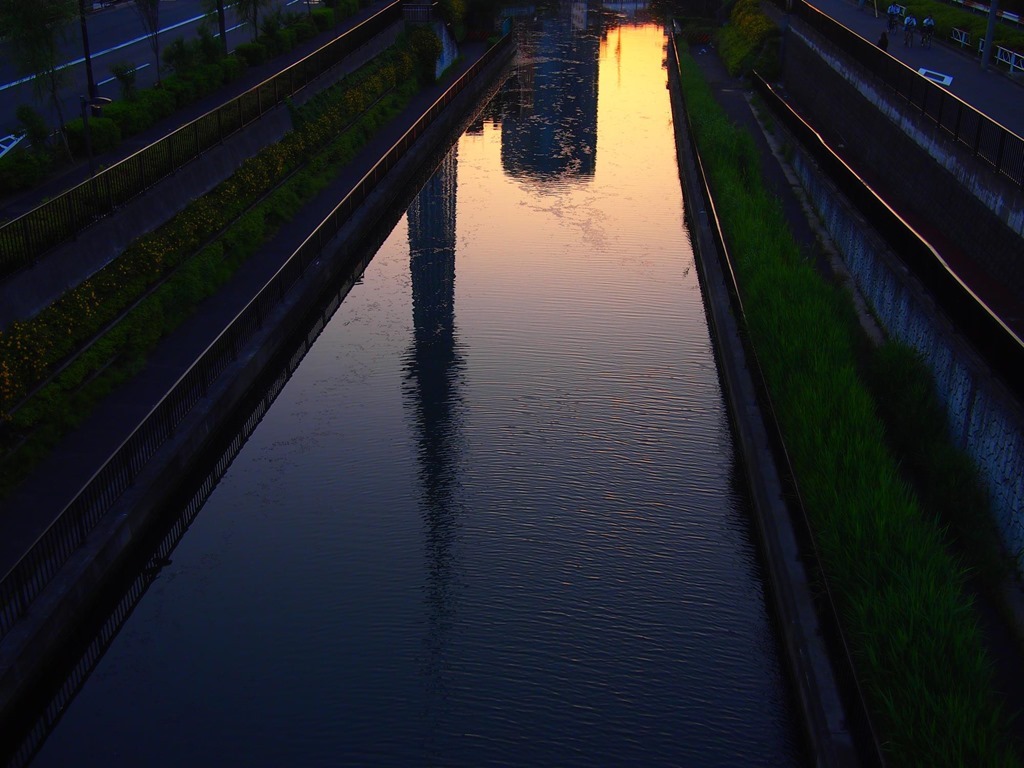 逆さツリー