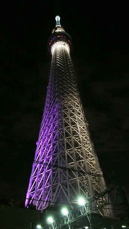 ムラサキ色