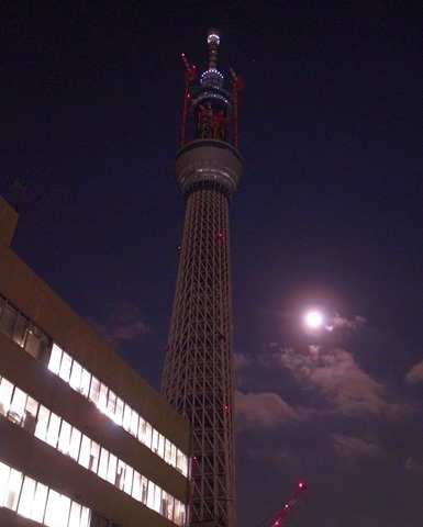 スカイツリー夜の建設中