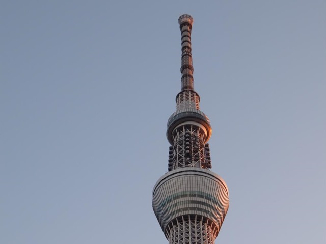 初日の出に照らされるスカイツリー