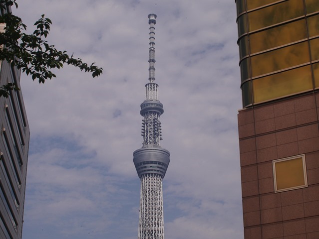 ビルの合間