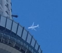 スカイツリーと双発飛行機
