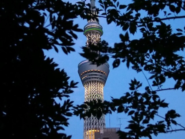 薄暮の照明