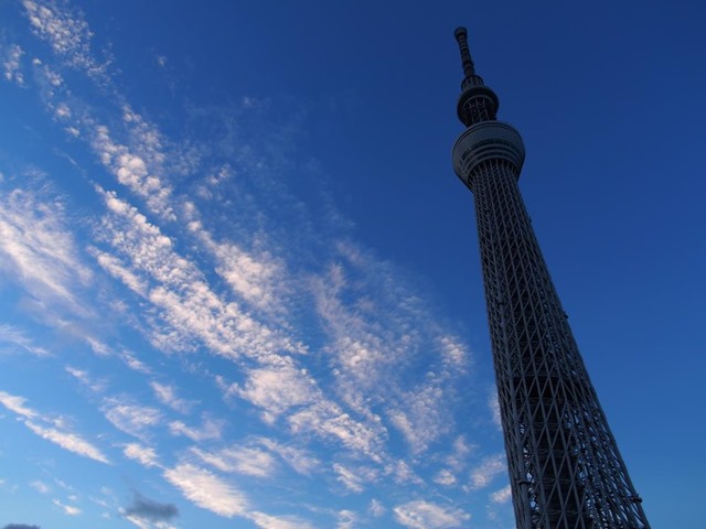夏雲とスカイツリー