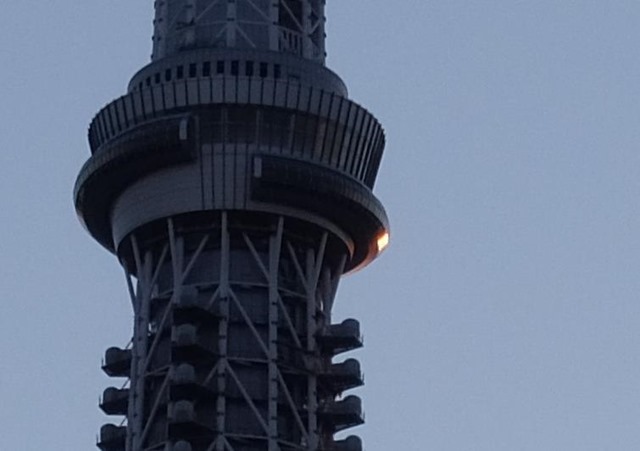 夕日が展望台に