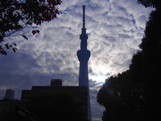 日の出の太陽と雲