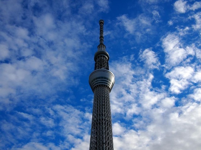 青い雲とツリー