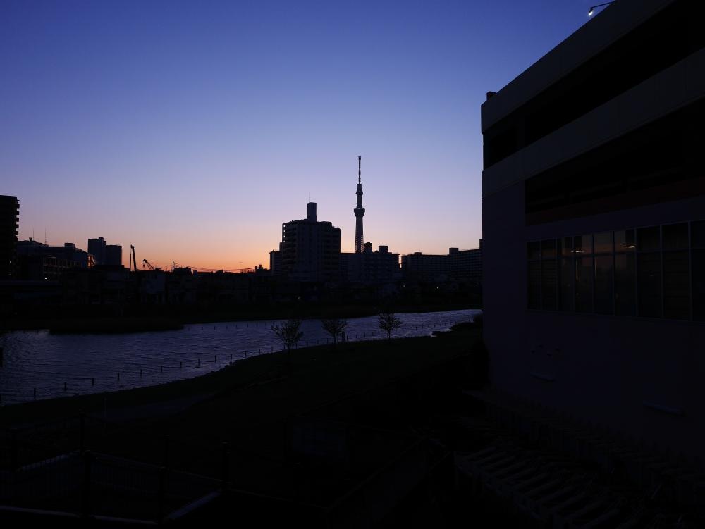 スカイツリー