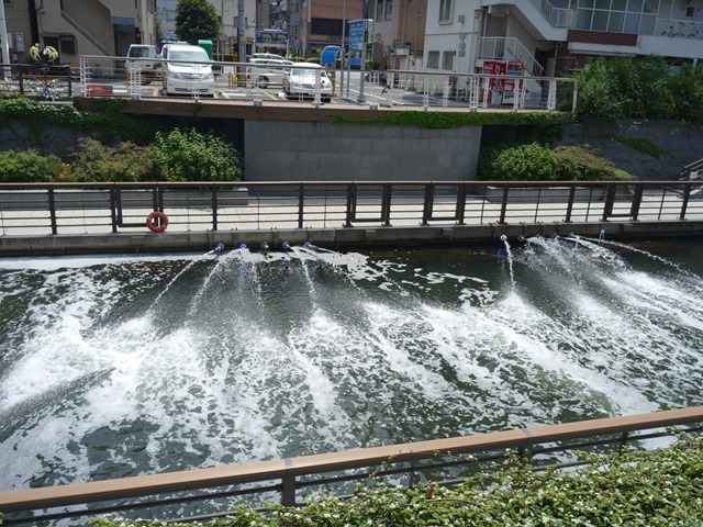 P1561116