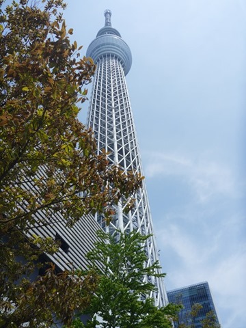 P1561117