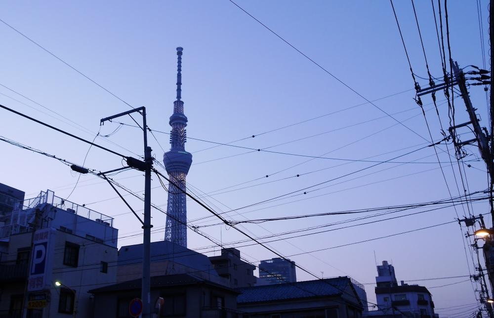 電線スカイツリー