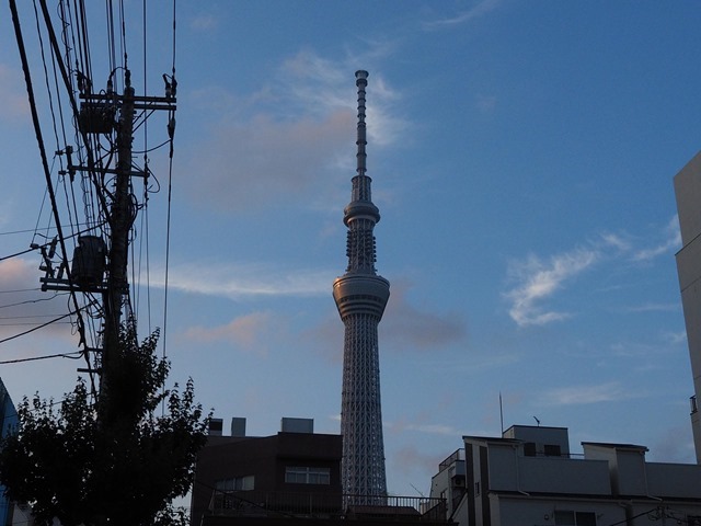 Tokyo skytree usualy shot.