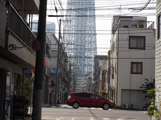 朝のツリー下