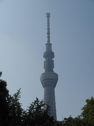 朝もやのスカイツリー