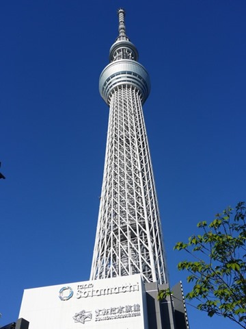 P1561040