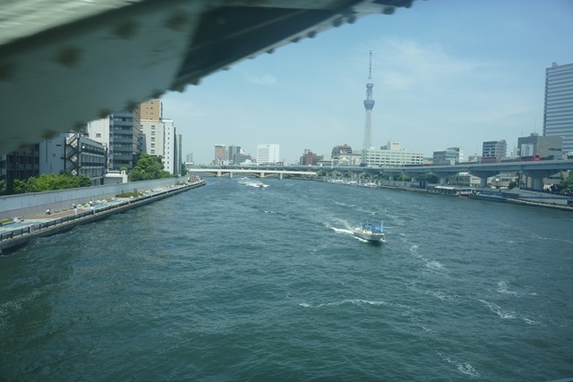 P1561376