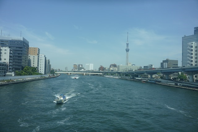 P1561377