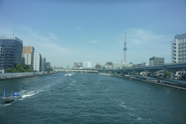 P1561378