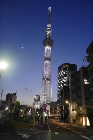 _1724008